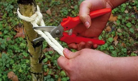 Комбинированные ножницы, прямые D47